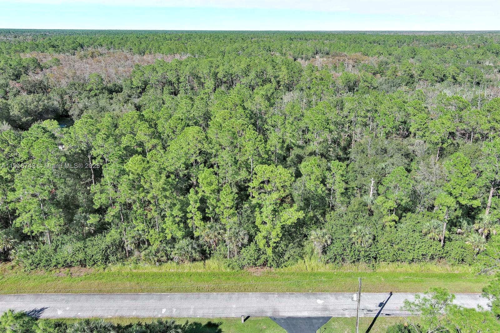 Build your dream home on this beautiful 1.14-acre vacant lot located in Naples! Situated in the desirable Golden Gate Estates, this spacious property gives the perfect blend of privacy, tranquility, and convenience. Enjoy plenty of room for a custom home, guest house, workshop, or outdoor living spaces—plus the freedom of no HOA restrictions. Surrounded by lush natural landscape and large estate-style properties, this lot provides a peaceful rural feel while still being just a short drive from shopping, dining, top-rated schools, and the stunning Gulf beaches. Whether you’re looking to build or invest, this expansive parcel presents an excellent opportunity in one of Naples’ fastest-growing areas.