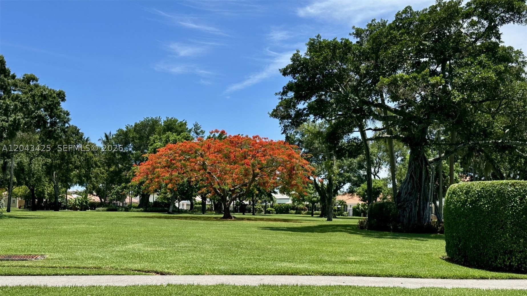 LA PAZ AT BOCA POINTE - Residential