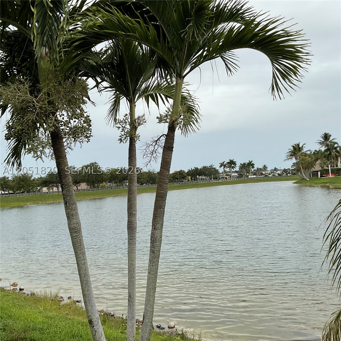 A B AT TAMIAMI TRAIL PHAS - Residential Lease
