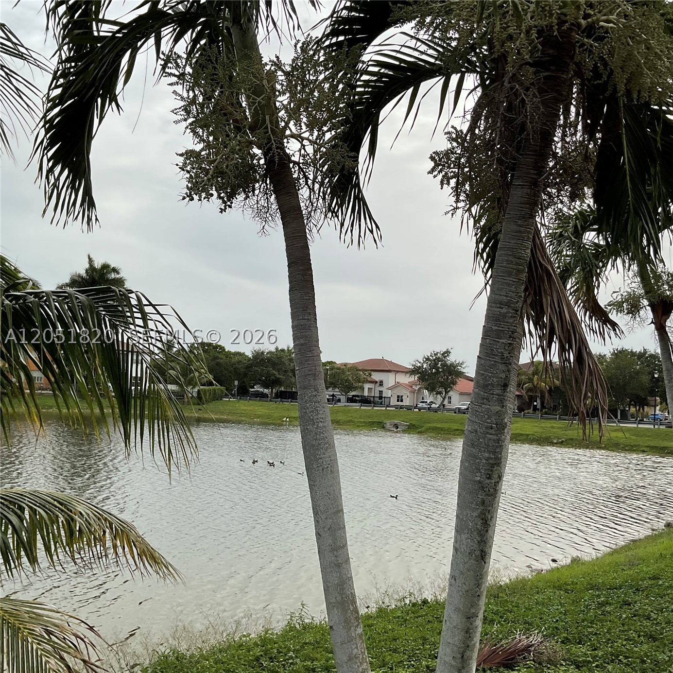 A B AT TAMIAMI TRAIL PHAS - Residential Lease