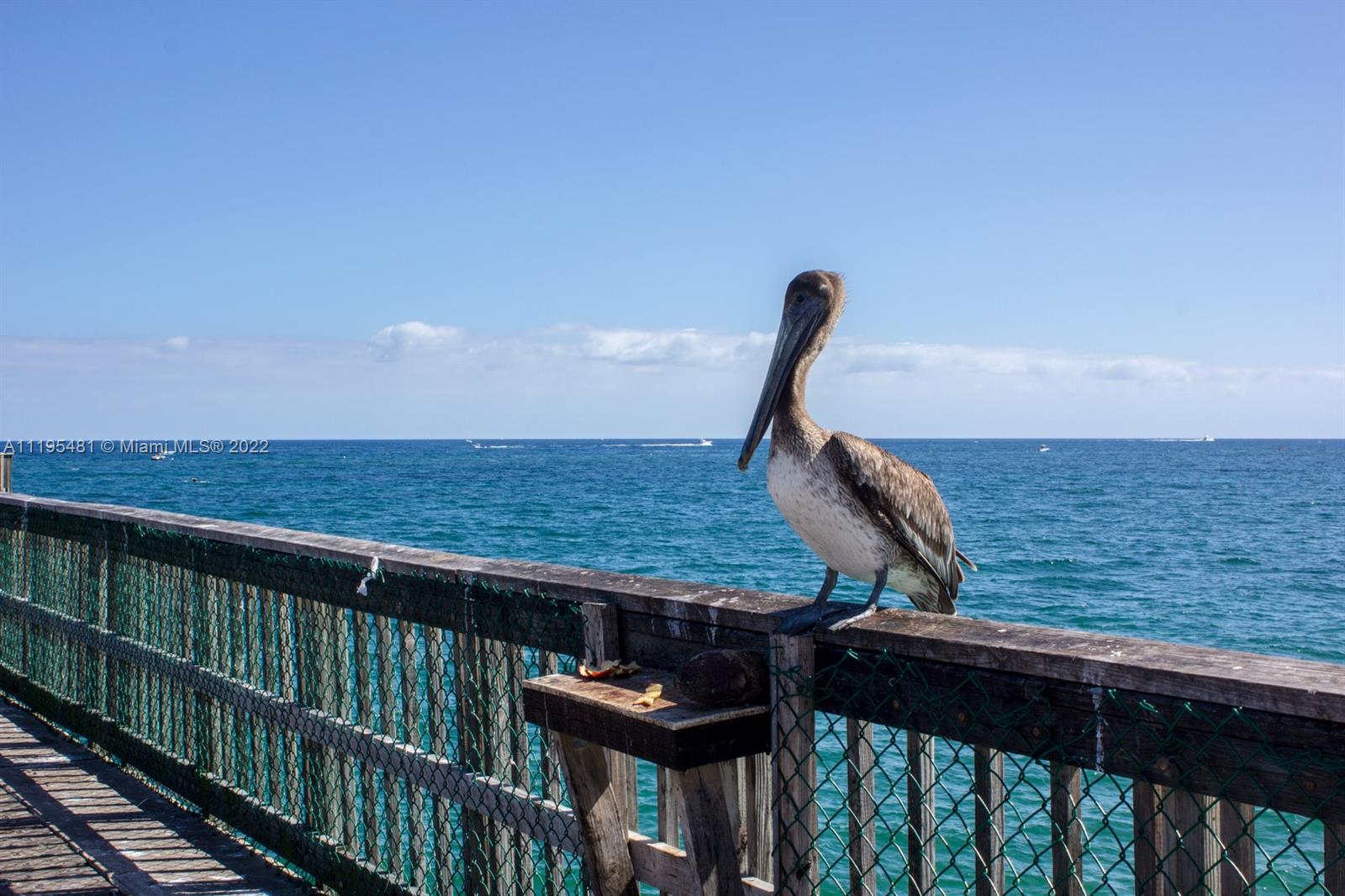 POMPANO BEACH CLUB NORTH - Residential Lease