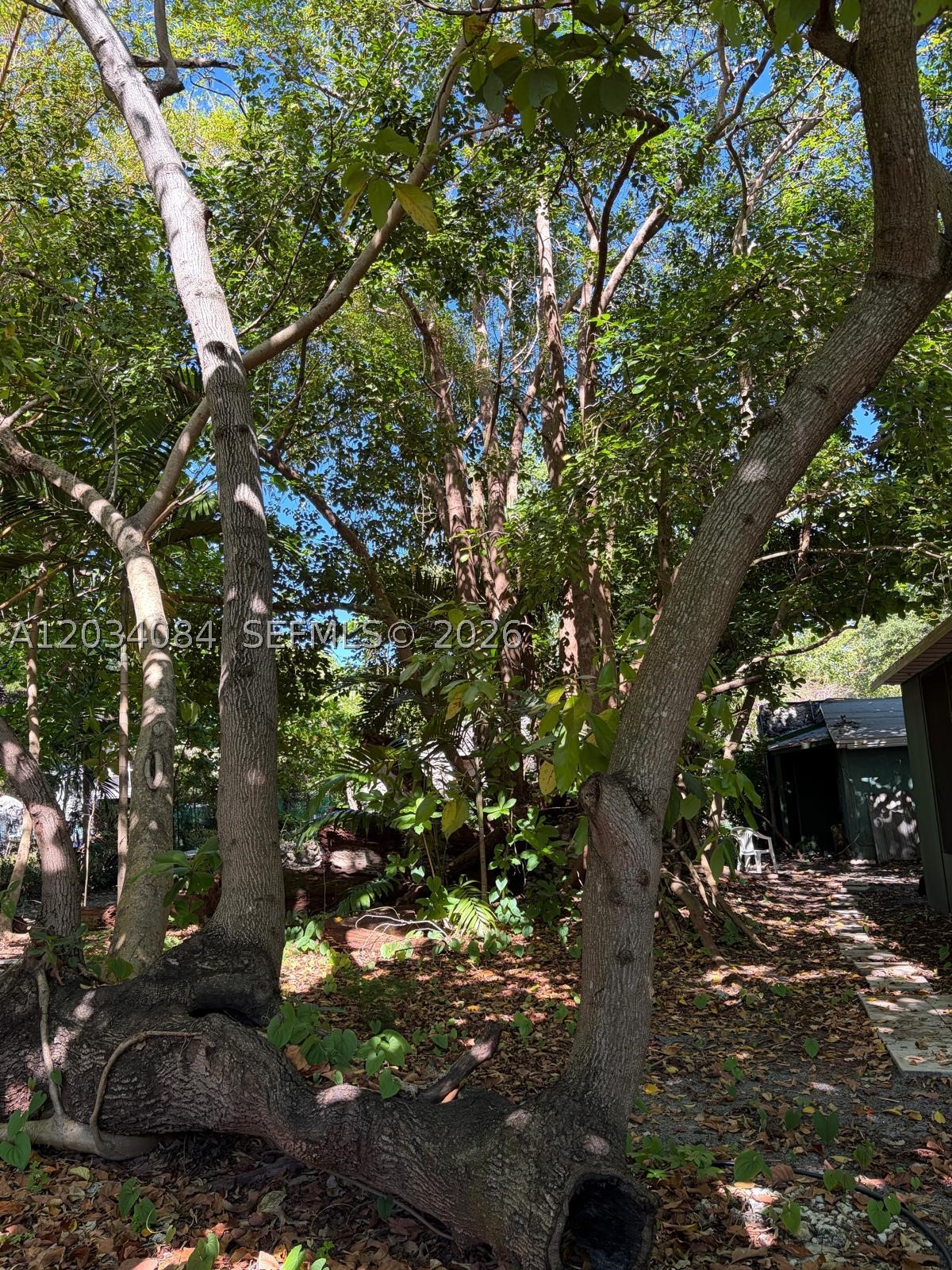 BISCAYNE HEIGHTS - Residential