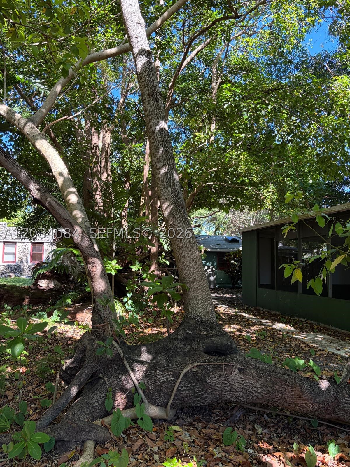 BISCAYNE HEIGHTS - Residential