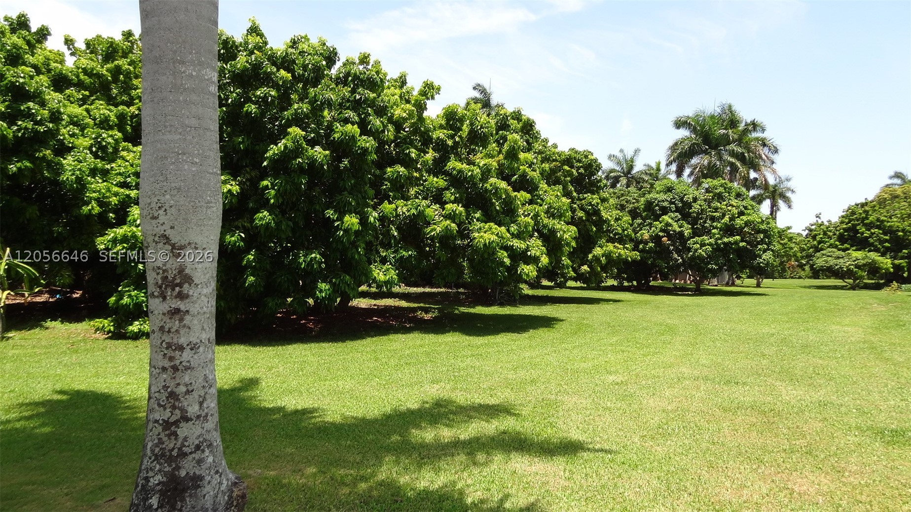 Nice location, over .6 of an acreage, vacant land. Approx 88' x 306'.  Residential area.