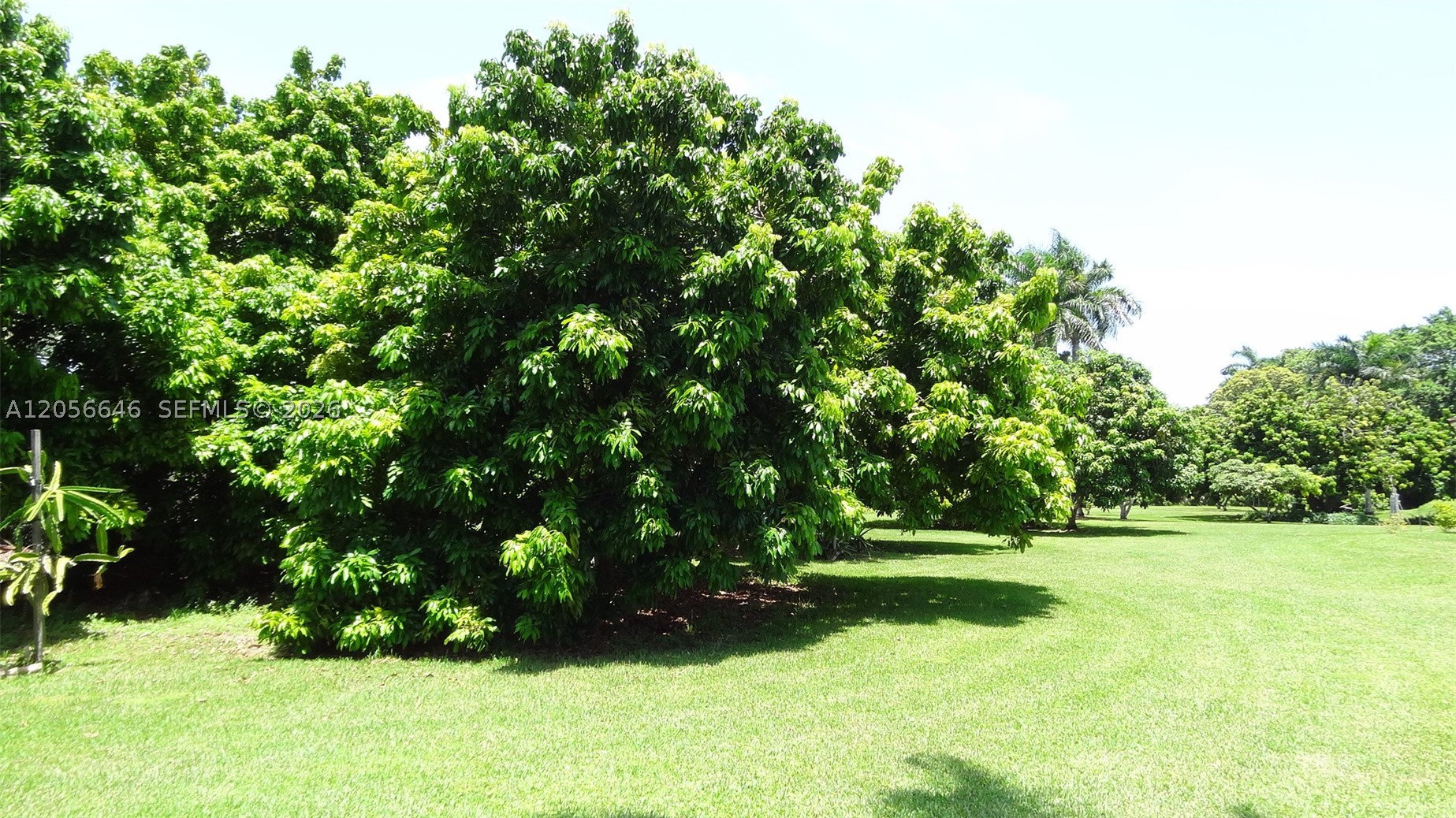 BISC GARDENS SEC A - Land