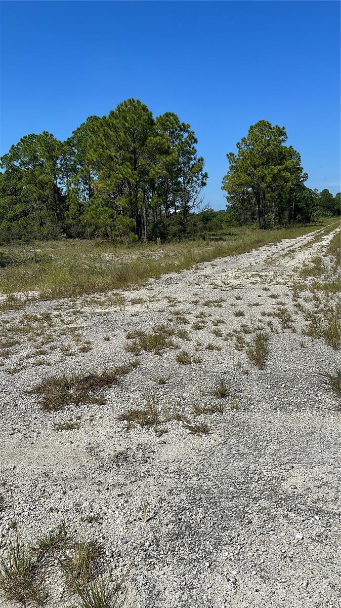 Residential lot in Lake  Placid,  Utility and Paved roads closely, area is  coming up, lot is couple of  blocks  from Lake  Grassy, buy now and build later.