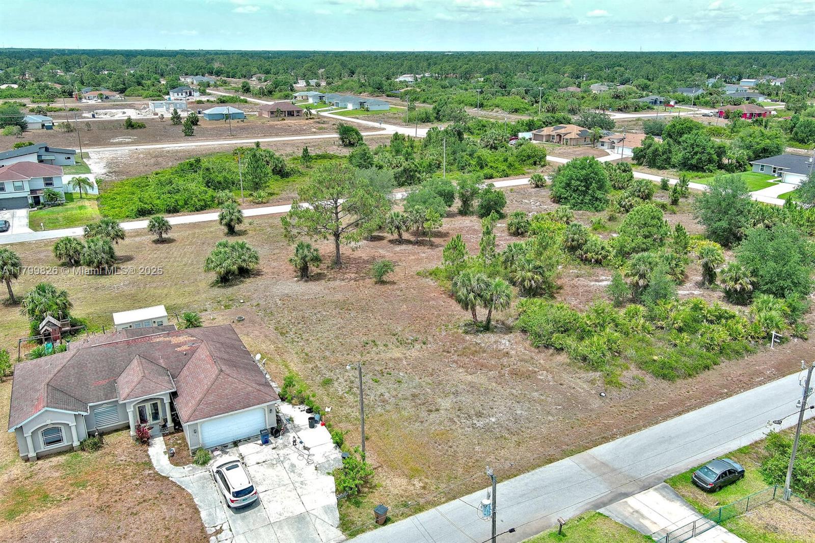 Lehigh Acres - Land