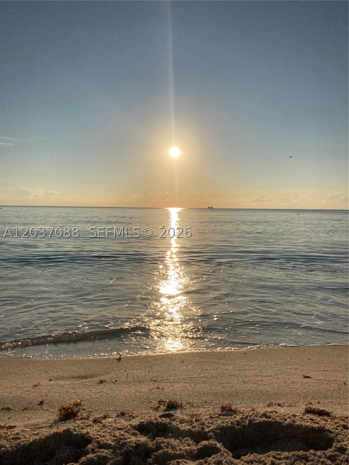 RONEY PALACE CONDO - Residential Lease