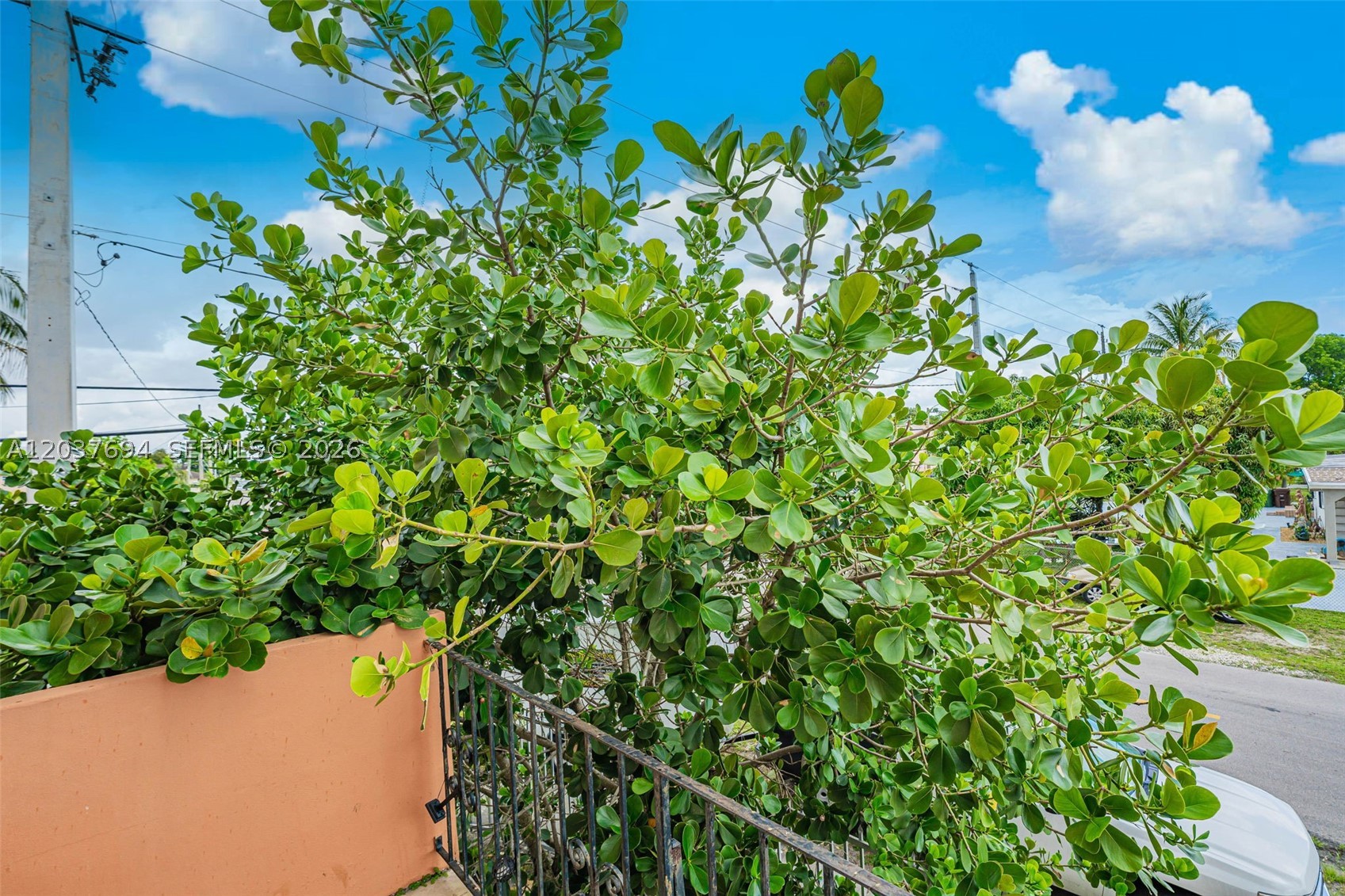 BEMAR PATIO CONDO - Residential Lease