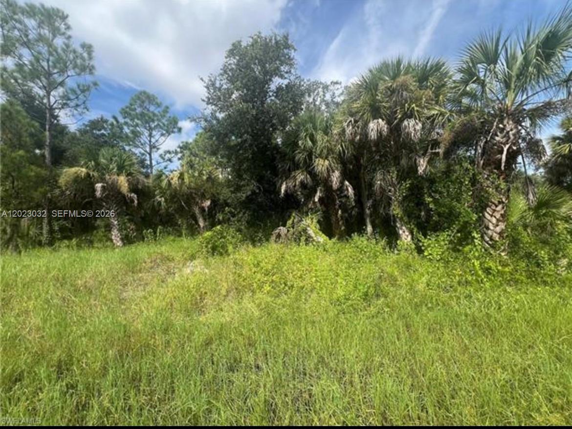 We understand that finding the perfect piece of land for your future endeavors can be daunting, and we're excited to present you with a wonderful opportunity. This prime property, located in a rapidly growing area, is conveniently situated near US-41 and within a lively commercial district filled with diverse shopping centers. Imagine the potential this land has for development and the positive impact it could have on the community. We truly believe this could be the ideal spot for your vision to flourish. Don't let this chance to invest in a promising location slip away-your future project could thrive here!