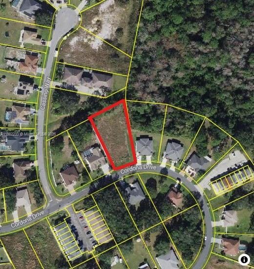 Fantastic opportunity to own a residential lot in Poinciana Villages! This spacious 0.23-acre (approx.) parcel is ready for your custom dream home and offers access to public water and electricity nearby (buyer to verify). The Poinciana community features parks, playgrounds, walking trails, and recreational facilities with a low HOA fee. Conveniently located near schools, shopping, dining, and major highways, you’ll enjoy a peaceful setting while staying close to everything Central Florida has to offer. Don’t miss your chance to invest in this growing area!