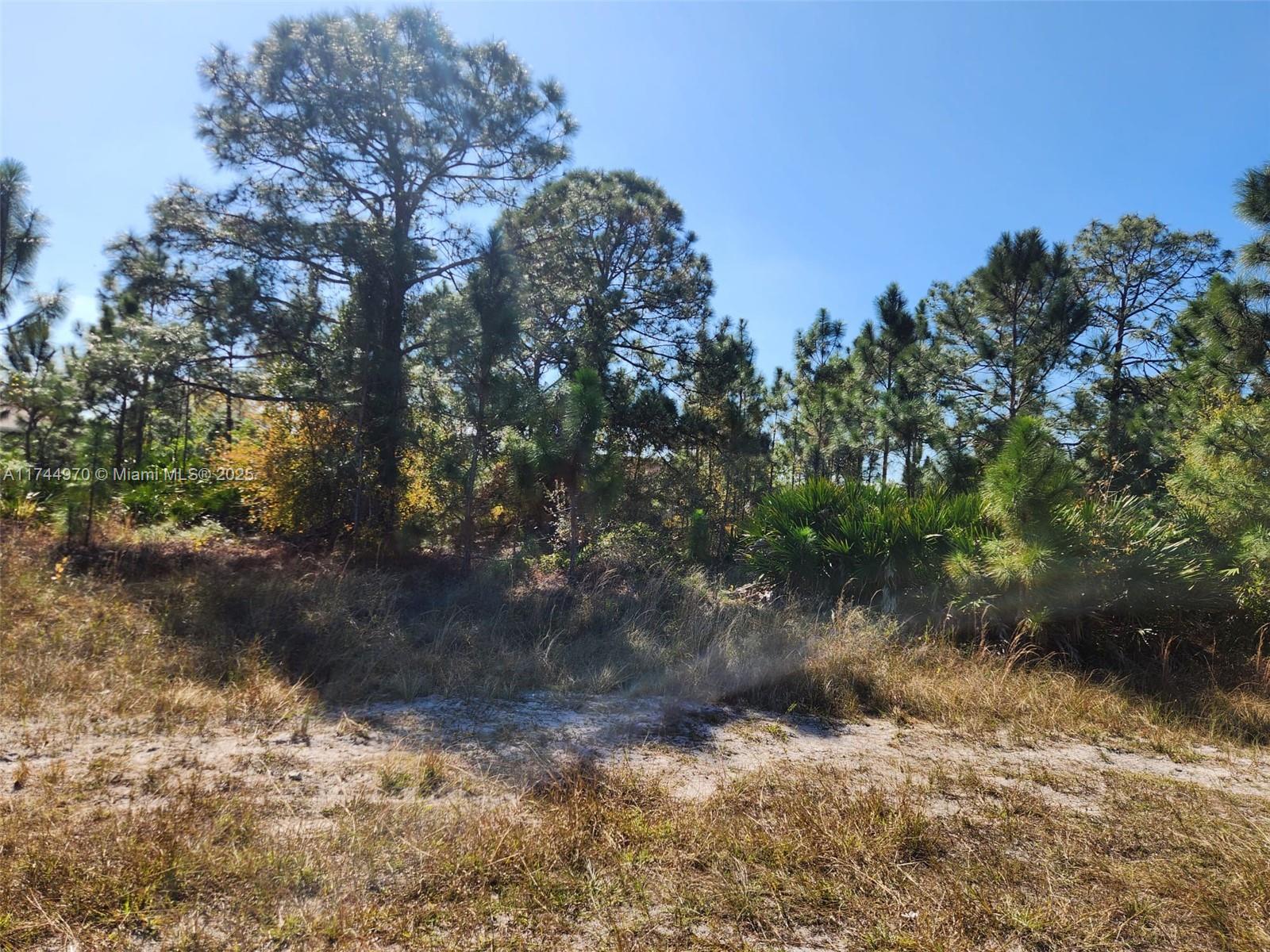Located at the end of the street, almost full with new single houses, one of the last lot on this street, with potential to build and to sell or rent. No sign, go directly. Owners have the second lot for sell at 206 E 10 St.