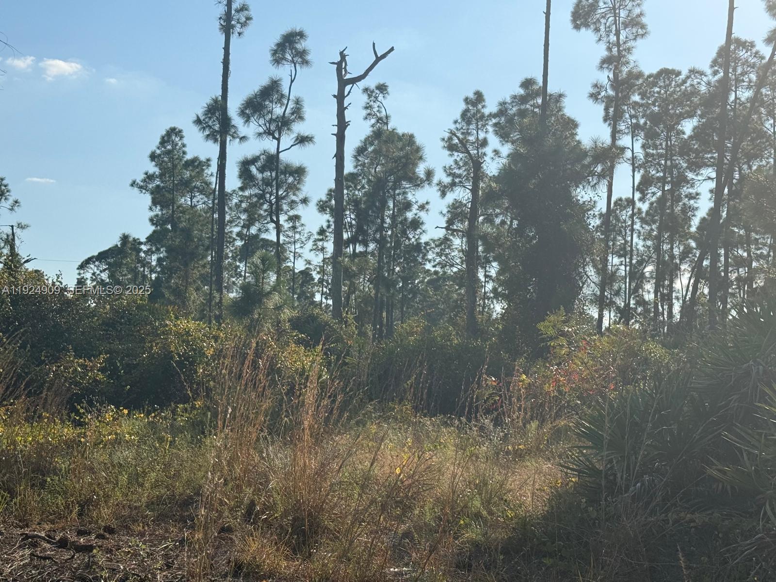 Lehigh Acres - Land