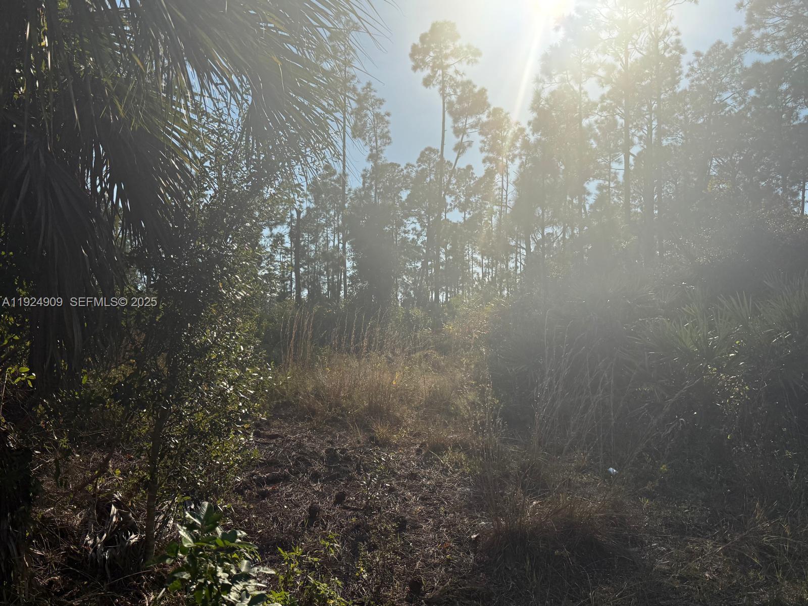 Lehigh Acres - Land