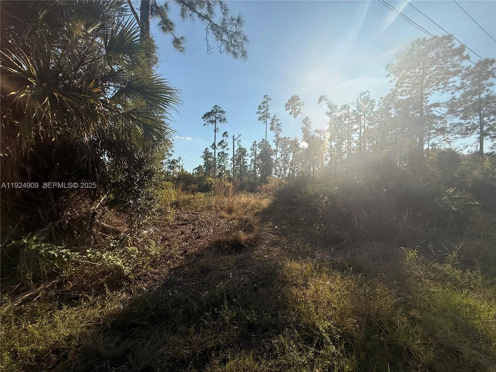 Lehigh Acres - Land