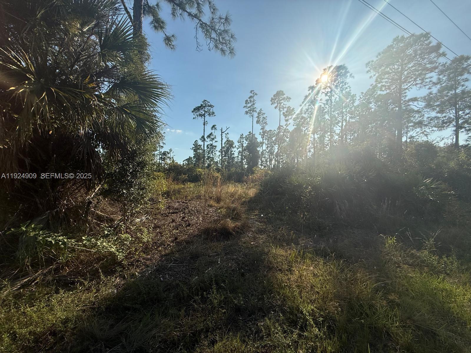 Lehigh Acres - Land