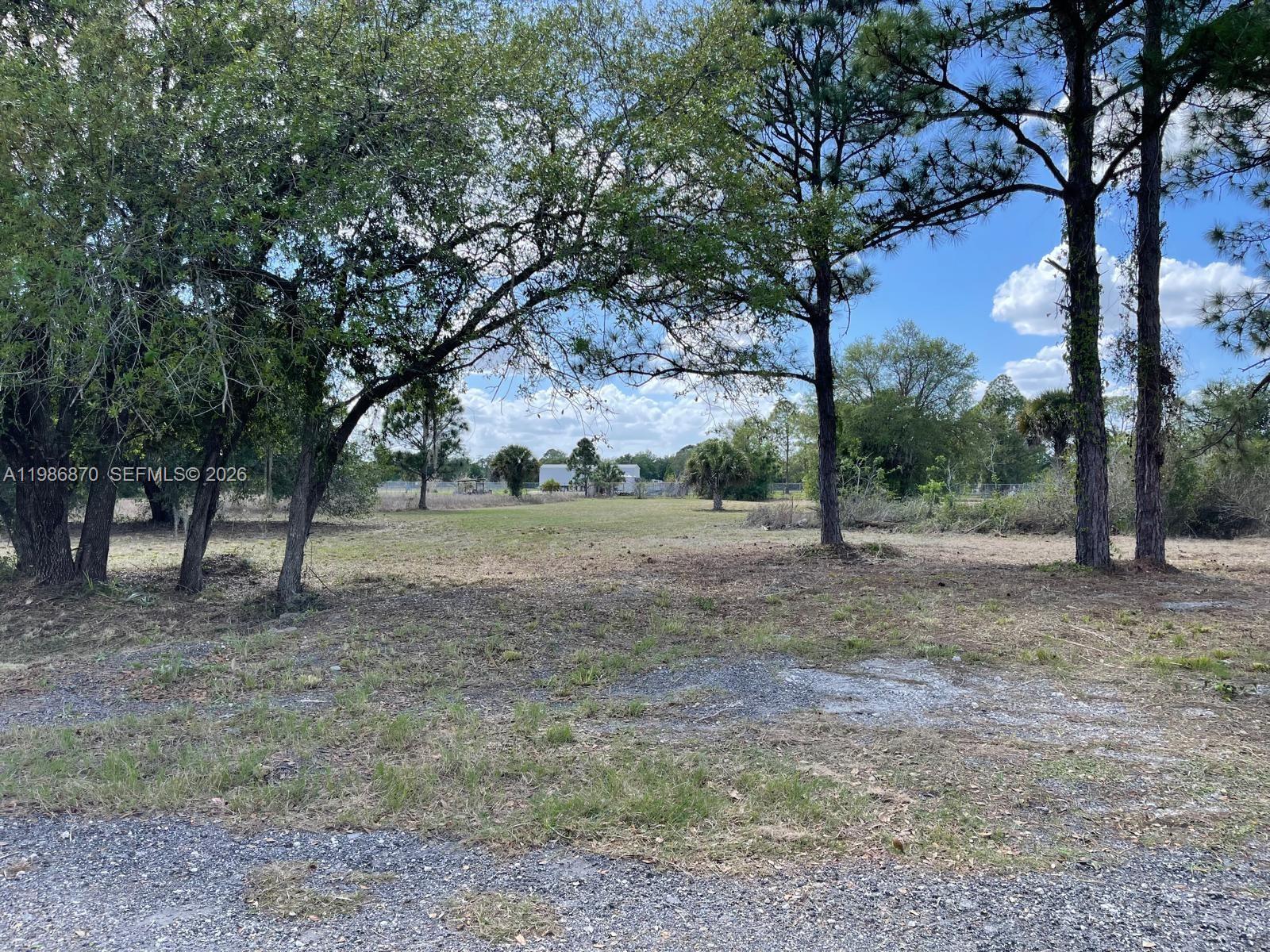 Montura Ranch Estates F - Land