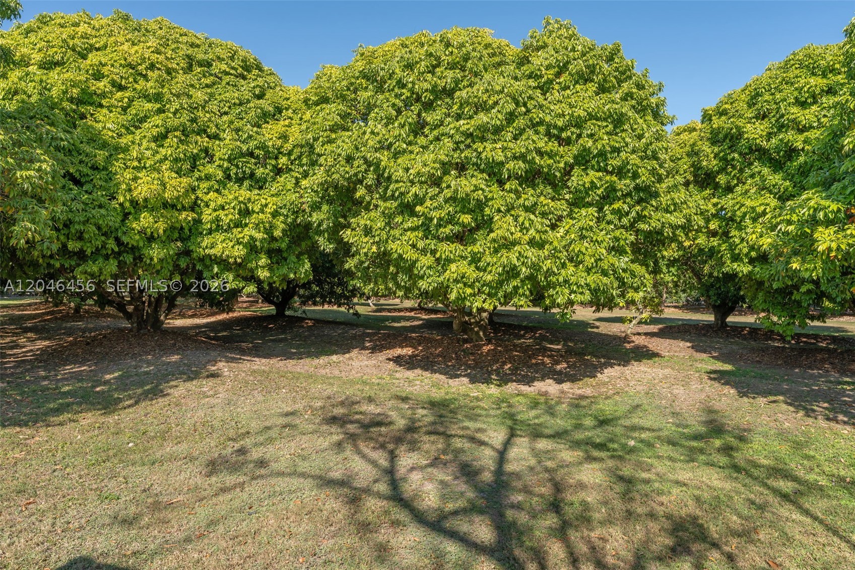 2.5 AC FARMHOUSE - Residential