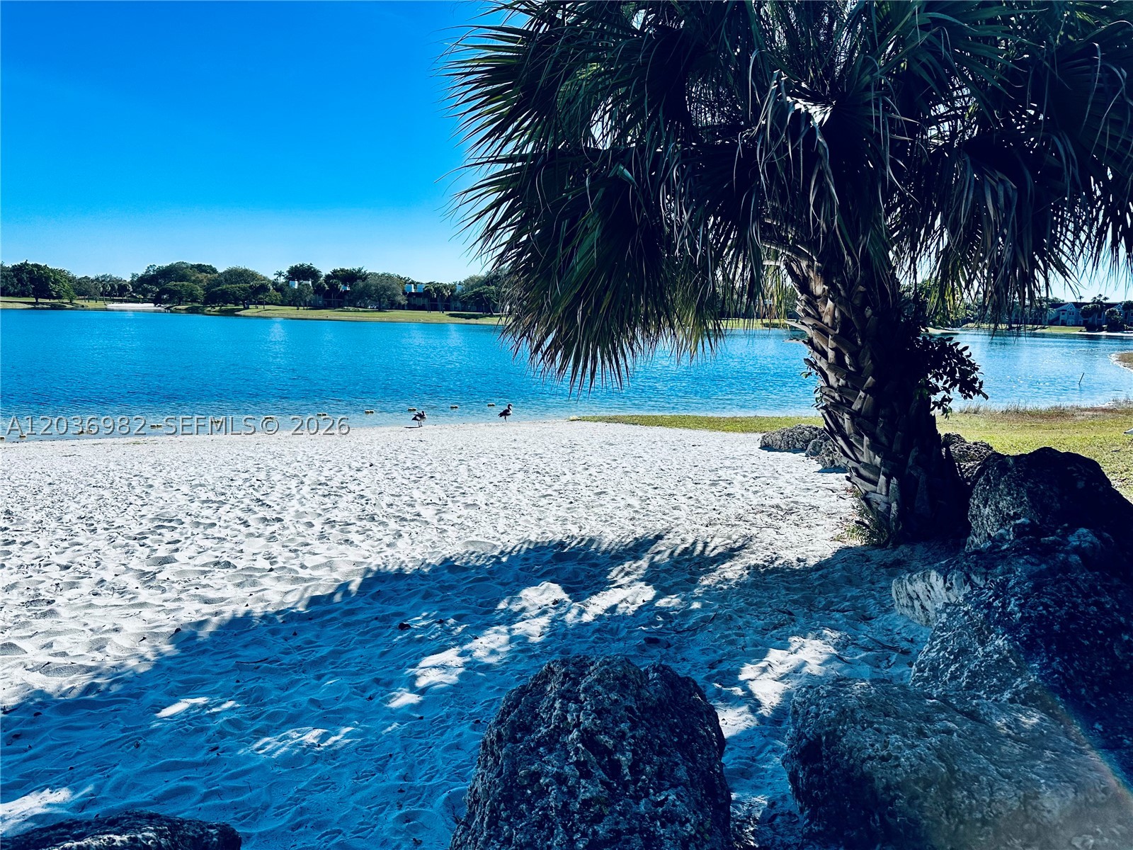 LAKEVIEW AT HAMMOCKS COND - Residential Lease
