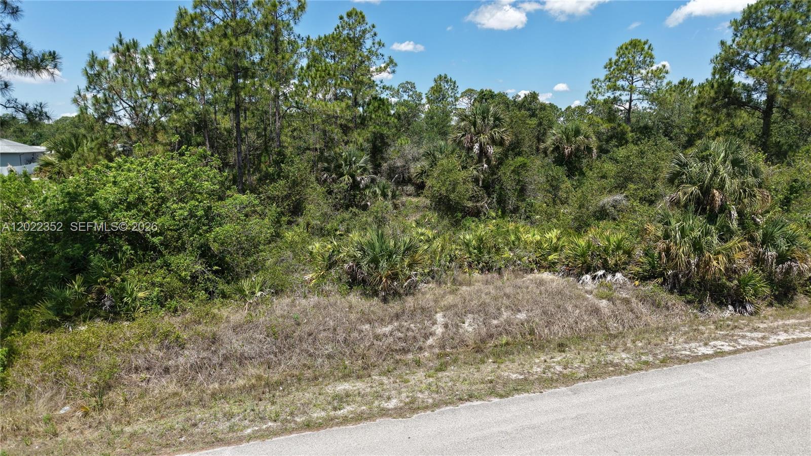 Lehigh Acres - Land
