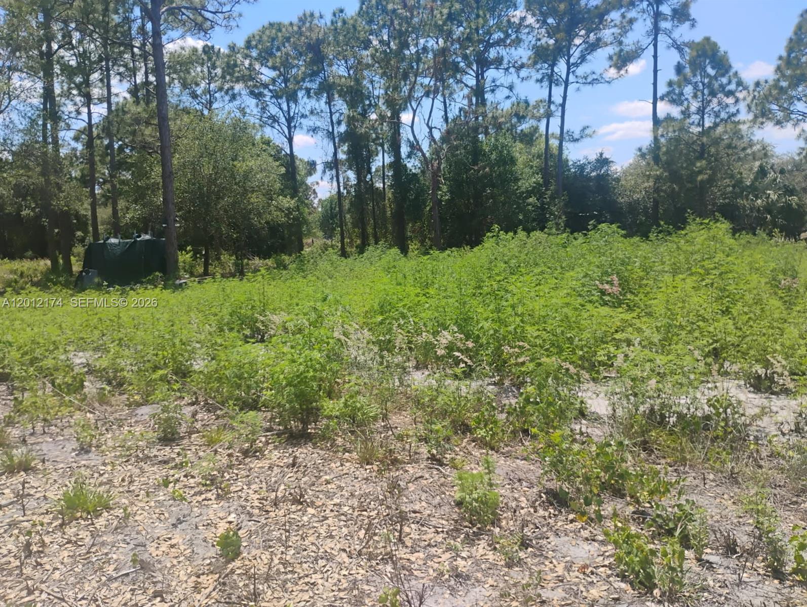 THE WOODLAND S/D - Land