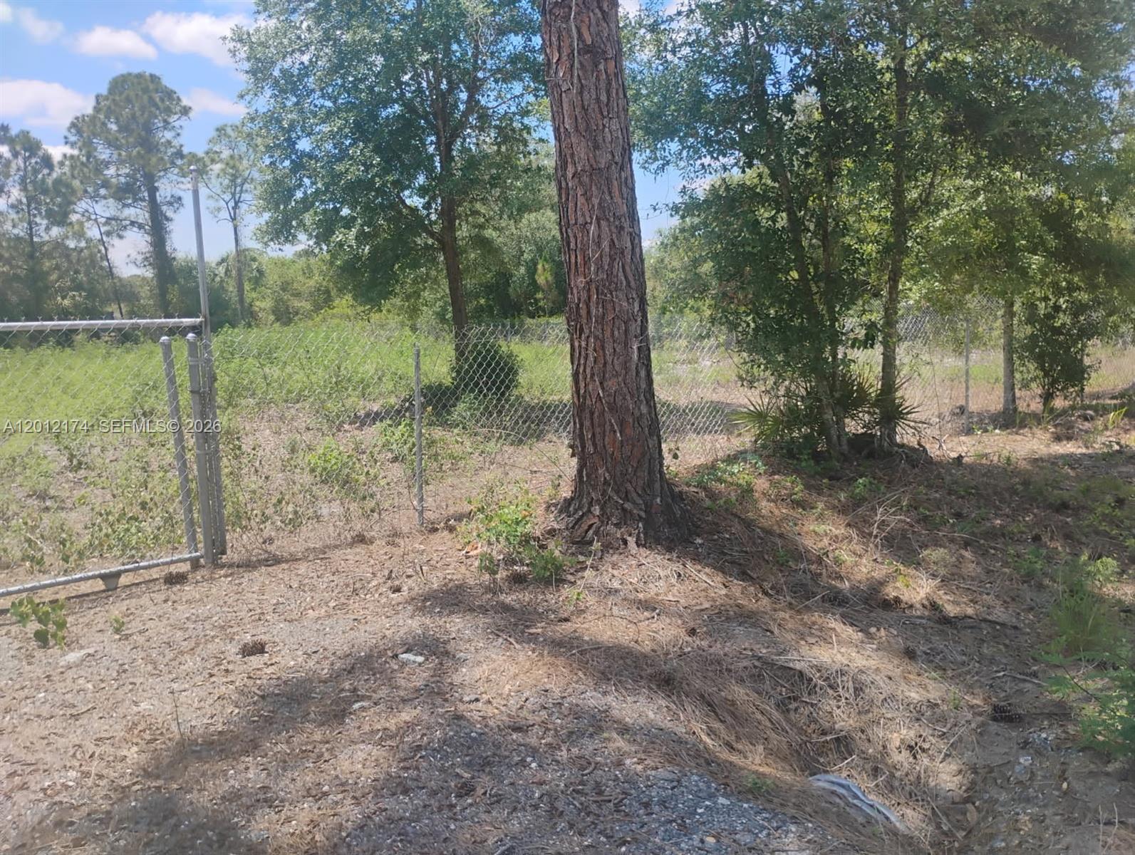 THE WOODLAND S/D - Land