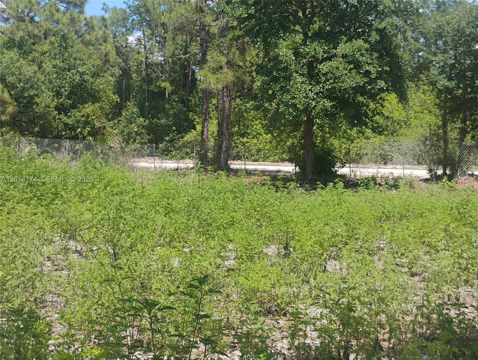 THE WOODLAND S/D - Land
