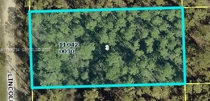 1/2 acre vacant lot at 1120 Lincoln Ave in Lehigh Acres, located in a growing area. Plenty of room for a custom home, pool, and more. No HOA and convenient access to shopping, dining, schools, and major roadways. Great opportunity for homeowners or investors.