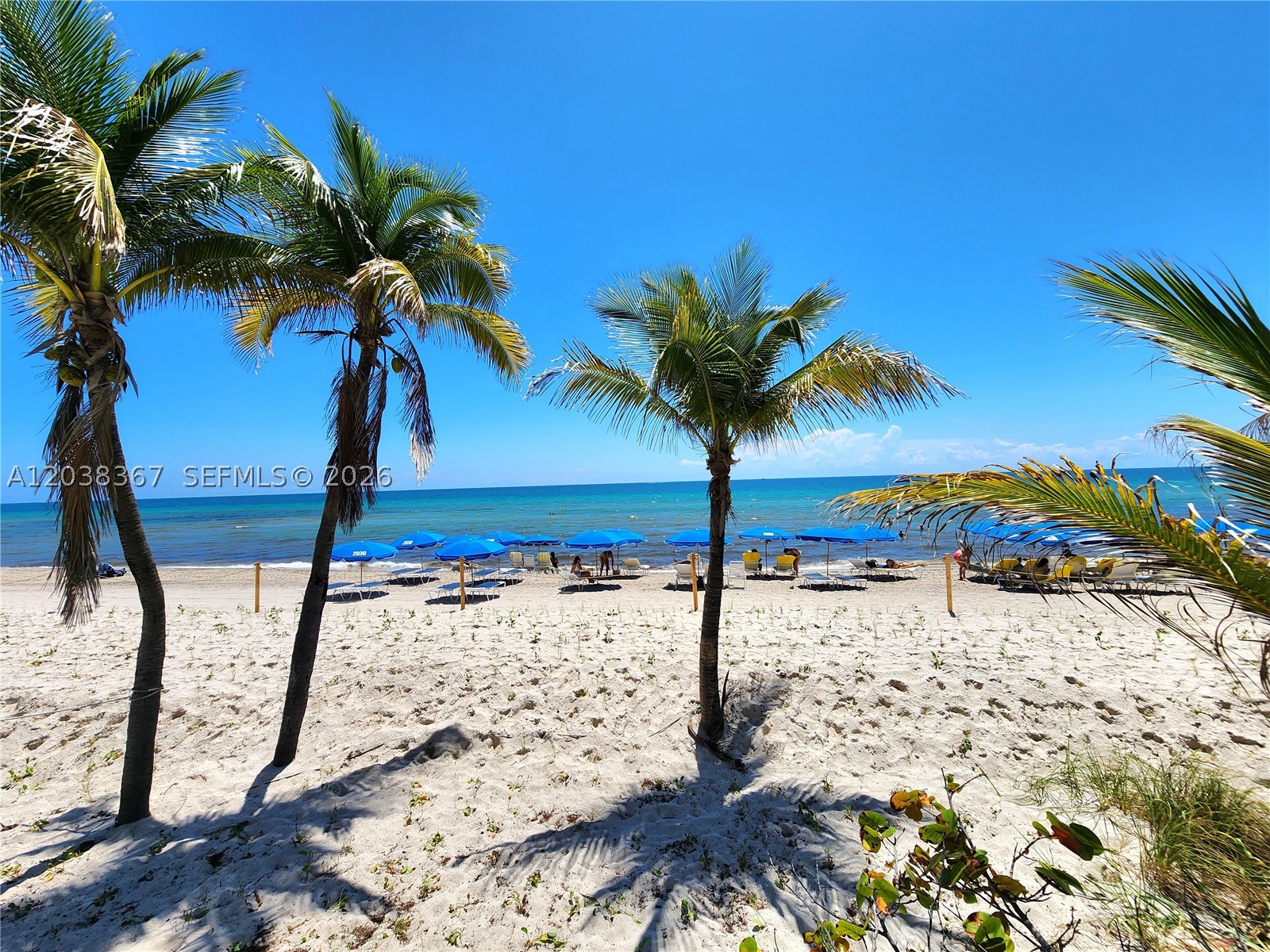 PARKER PLAZA CONDO ESTATE - Residential Lease