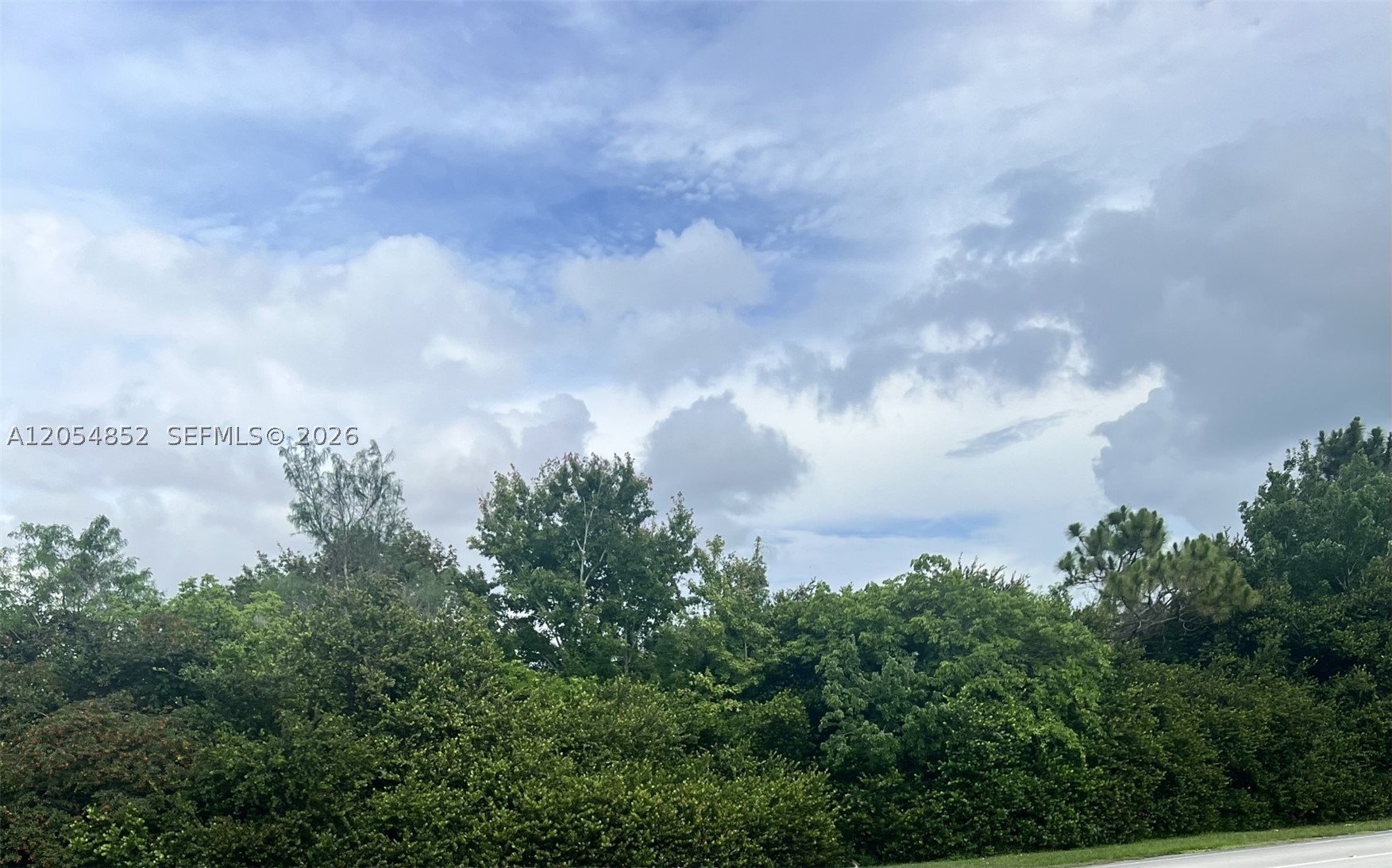 Build your dream home on this beautiful homesite in desirable Marion County! Offering plenty of space for your custom home, outdoor living, and recreational vehicles, this property provides the perfect blend of privacy and peaceful country living. Surrounded by Florida's natural beauty, yet conveniently located near shopping, dining, schools, medical facilities, and major highways, you'll enjoy both tranquility and accessibility. Whether you're looking to build now or invest for the future, this oversized parcel offers endless possibilities in one of Central Florida's fastest-growing areas. Don't miss this opportunity to own almost an acre of land with room to make your vision a reality!