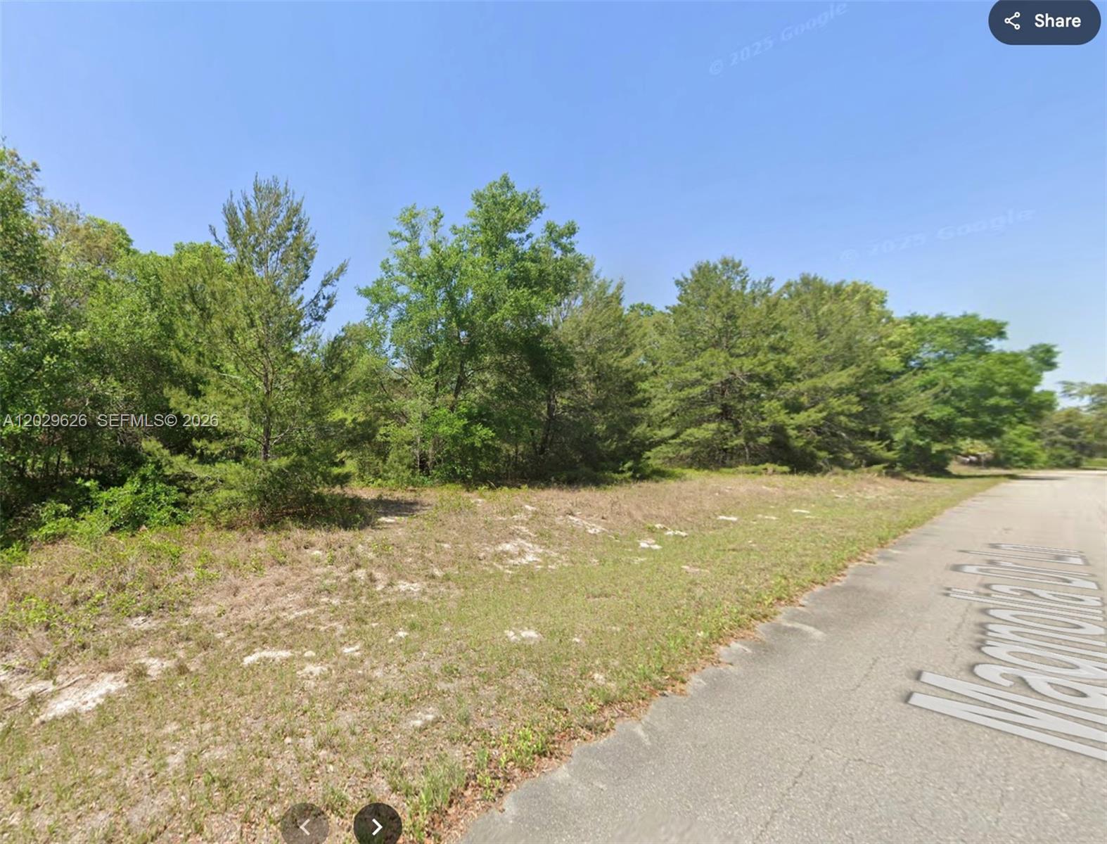 SILVER SPRINGS SHORES UNIT - Land