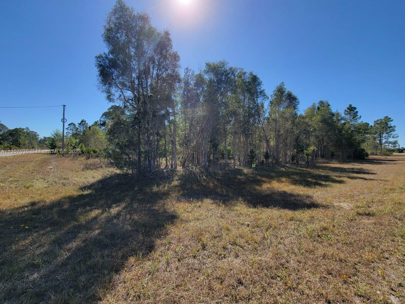 Corner Lot. Easy to clear. Growing city, growing area. Plenty of construction happening here now. This is one of the larger lots in the area. Great deal.