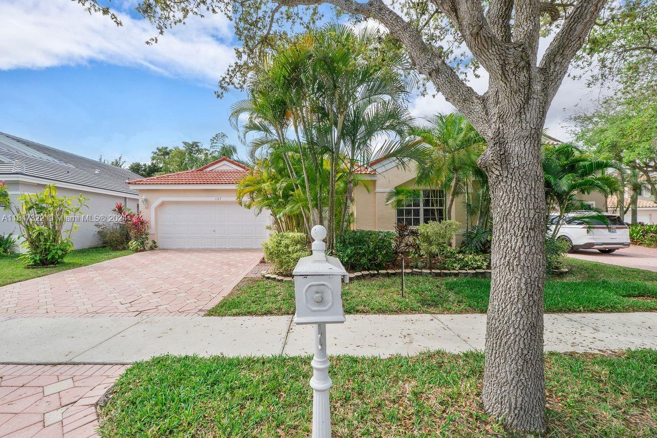 GREAT 4 BEDROOMS AND 2.5 BATHS ONE STORY HOME IN THE FALLS/WESTON WITH THE BEST PUBLIC SCHOOL SYSTEM IN SOUTH FLORIDA.
SWIMMING POOL WITH A SPA/WATER FALL, PAVERS AND A SCREENED ENCLOSURE FOR TOTAL PRIVACY. 
GREAT AND POPULAR FLOOR PLAN, LOCATED IN A PRIVATE DEAD END STREET AT THE CUL-DE-SAC, 2 CAR GARAGE WITH PAVERS.