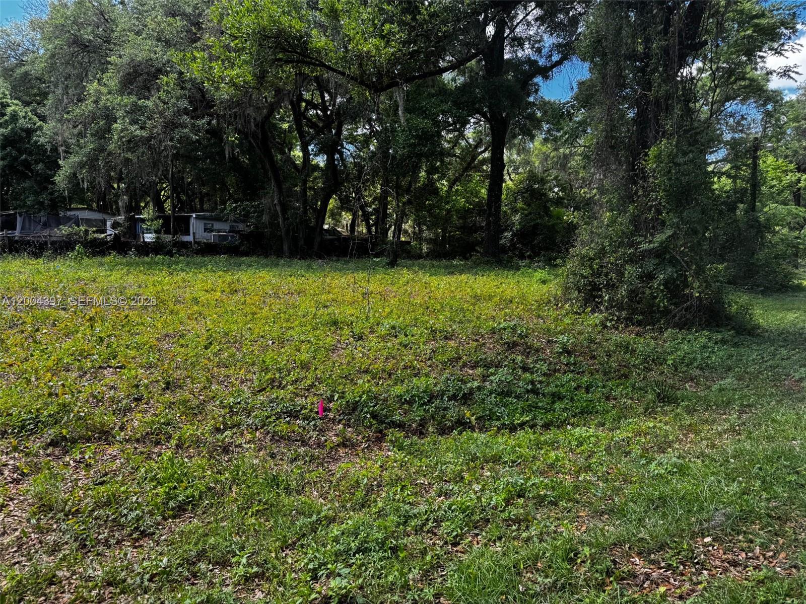 OCALA PARK ESTATE - Land