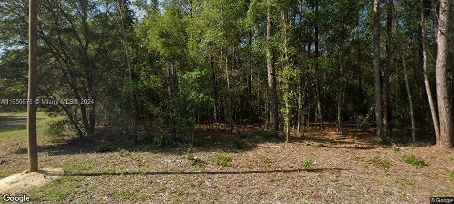 CITRUS SPRINGS UNIT 17PB - Land