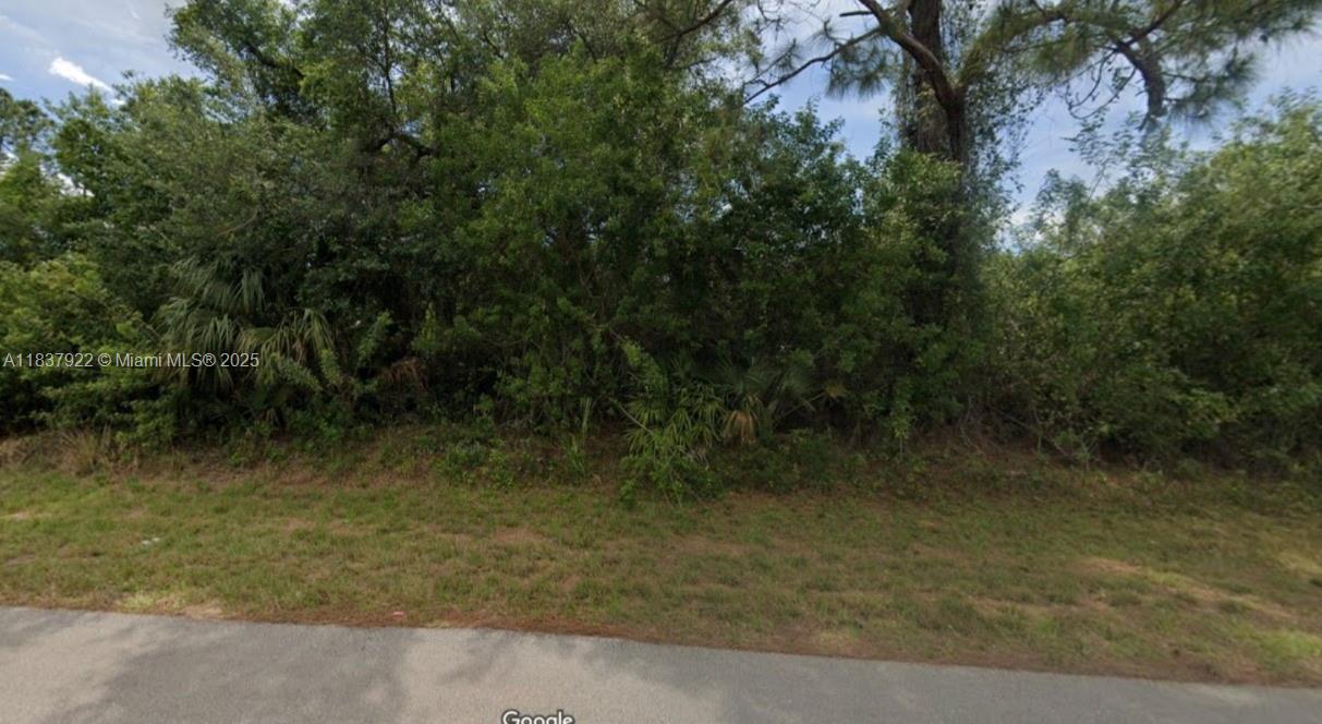 Lehigh Acres - Land