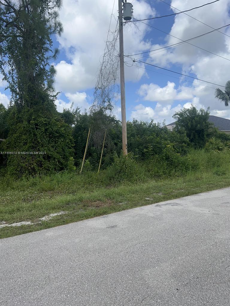 CITY OF CAPE CORAL - Land
