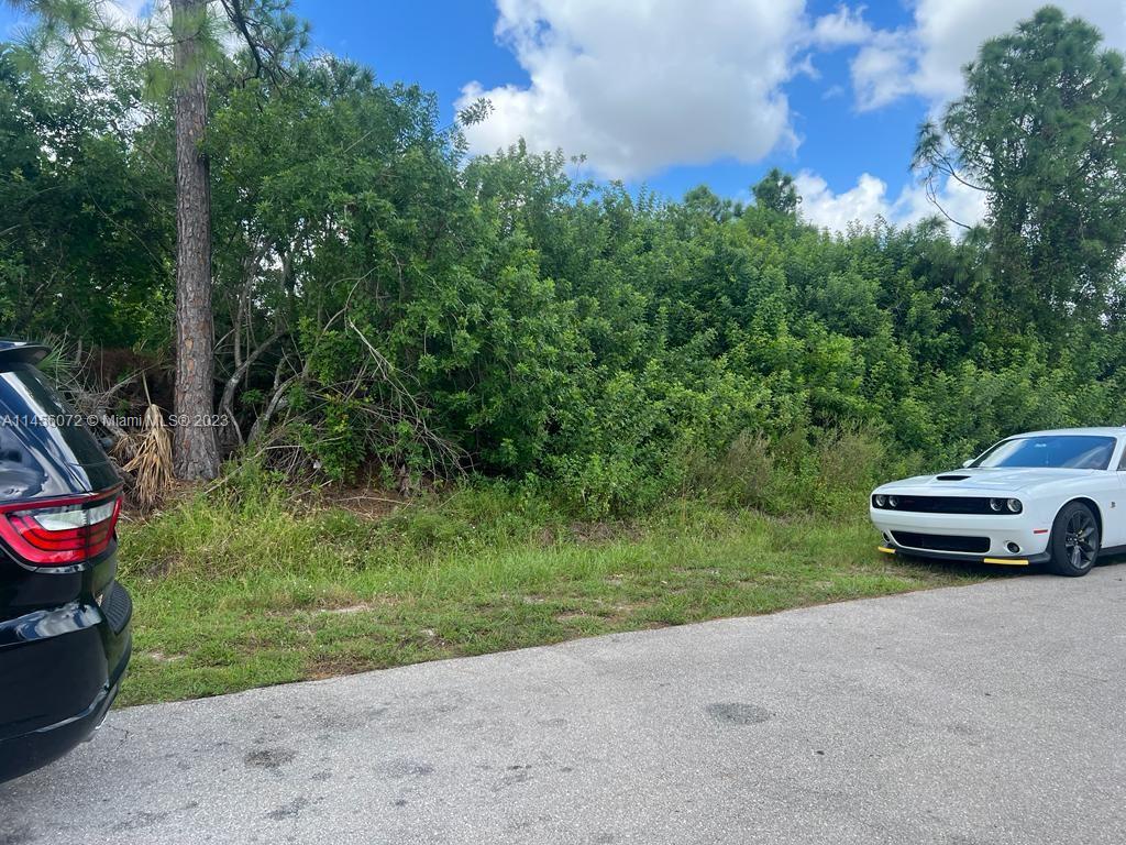 CITY OF CAPE CORAL - Land