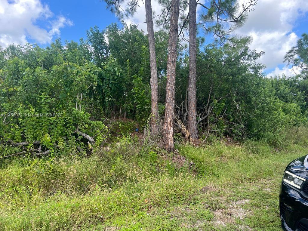CITY OF CAPE CORAL - Land