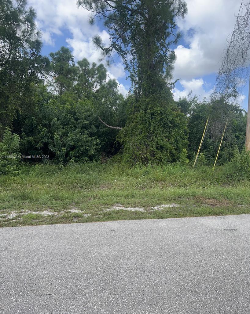 CITY OF CAPE CORAL - Land