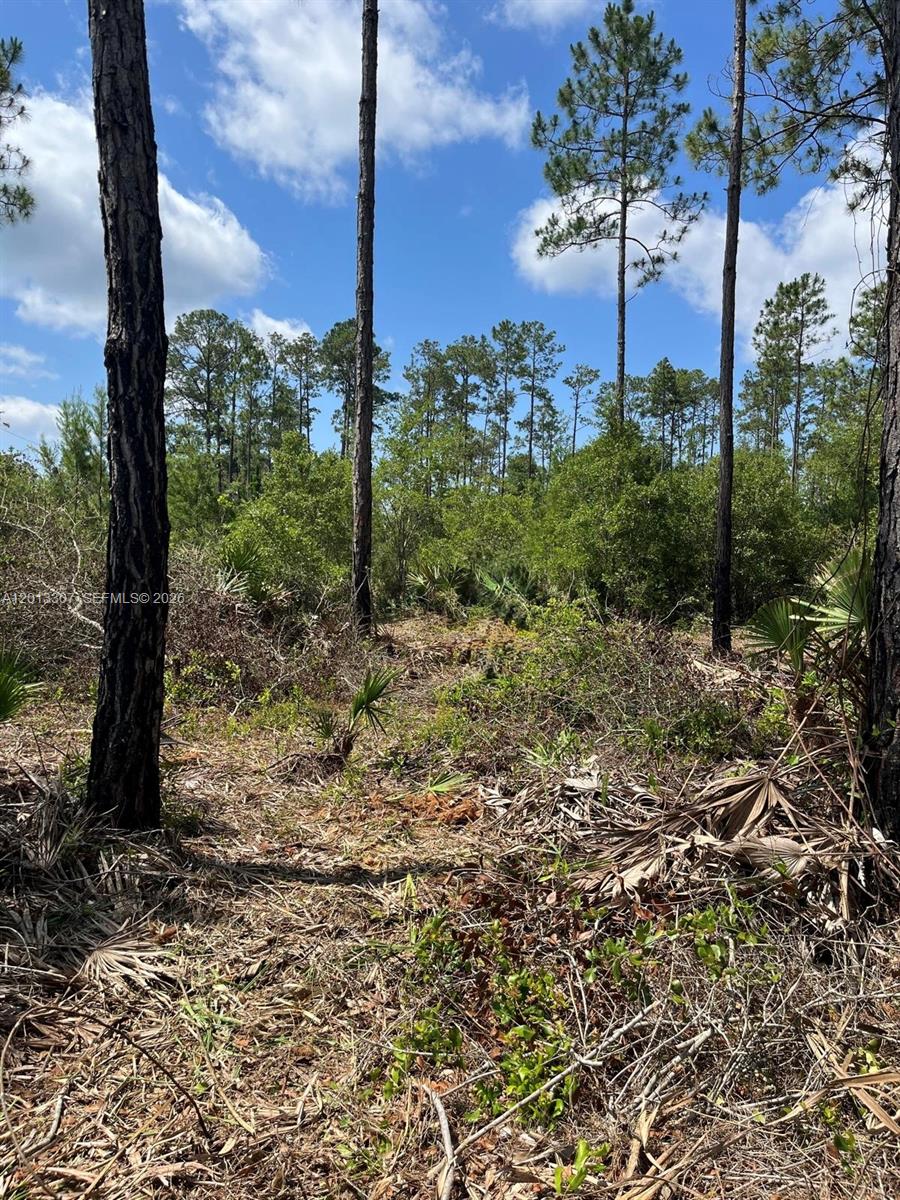 Prime investment opportunity in Whispering Pines! This 1.29-acre wooded lot sits at the end of a quiet dead-end road, offering privacy and long-term value in a growing area. Ideally located near the St. Johns River and just minutes from a public boat ramp, this property is perfect for future development, a primary residence, or a mobile home. Enjoy peaceful country living with the added benefit of being close to Crescent City and its affordable cost of living. With no mandatory HOA fees, this lot provides flexibility and excellent potential for appreciation or income-producing use.