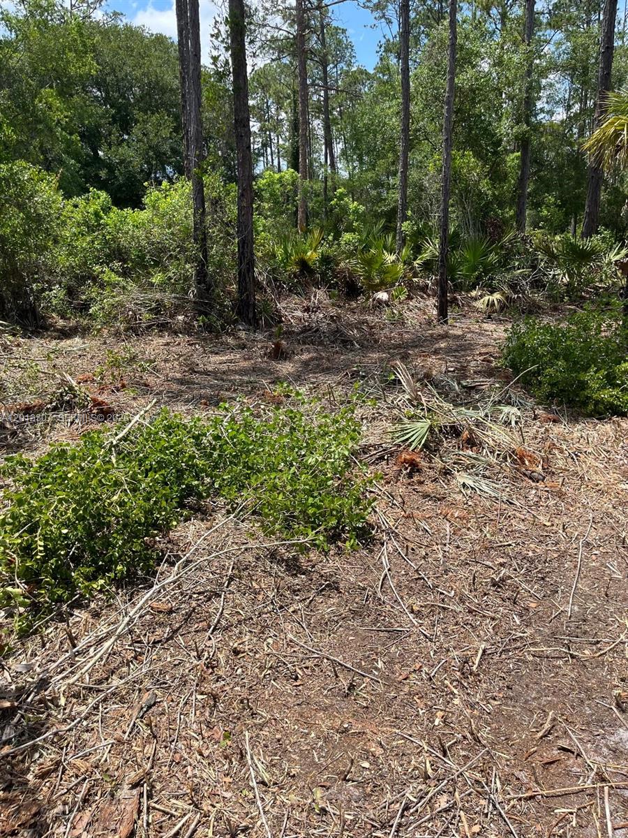 Whispering Pines - Land