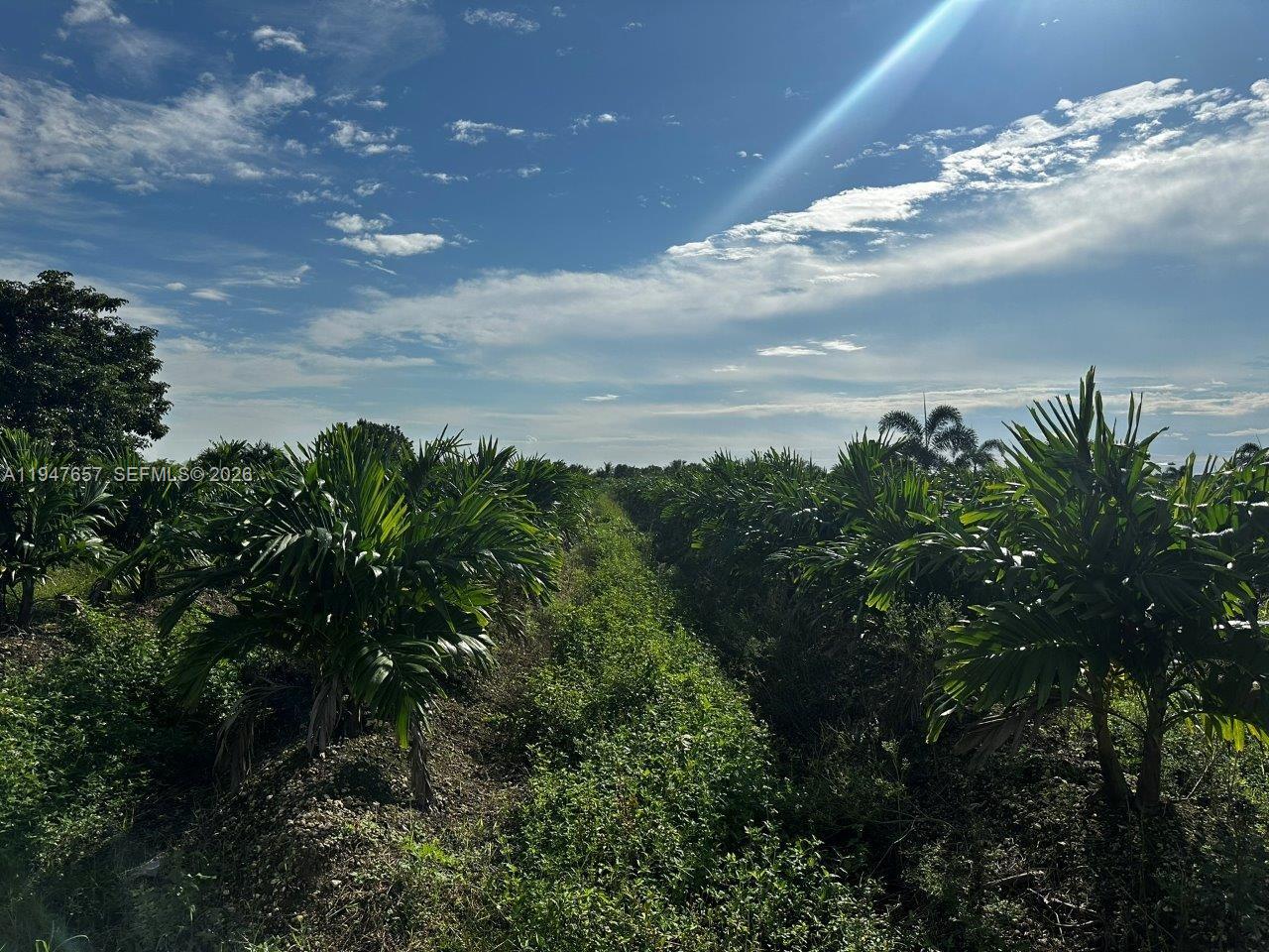 REDLAND - Land