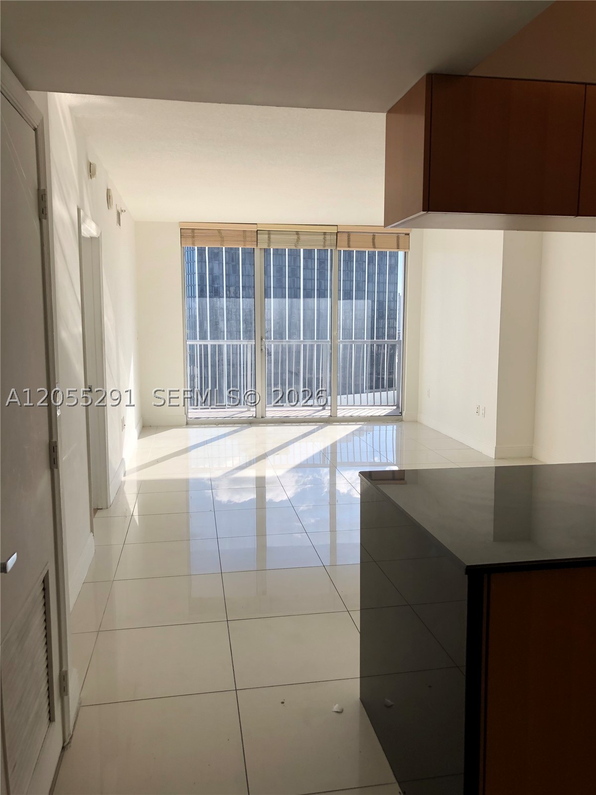OPERA TOWER CONDO - Residential Lease
