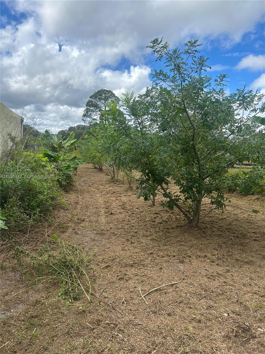 MONTURA SOUTH HALF(100804) - Land