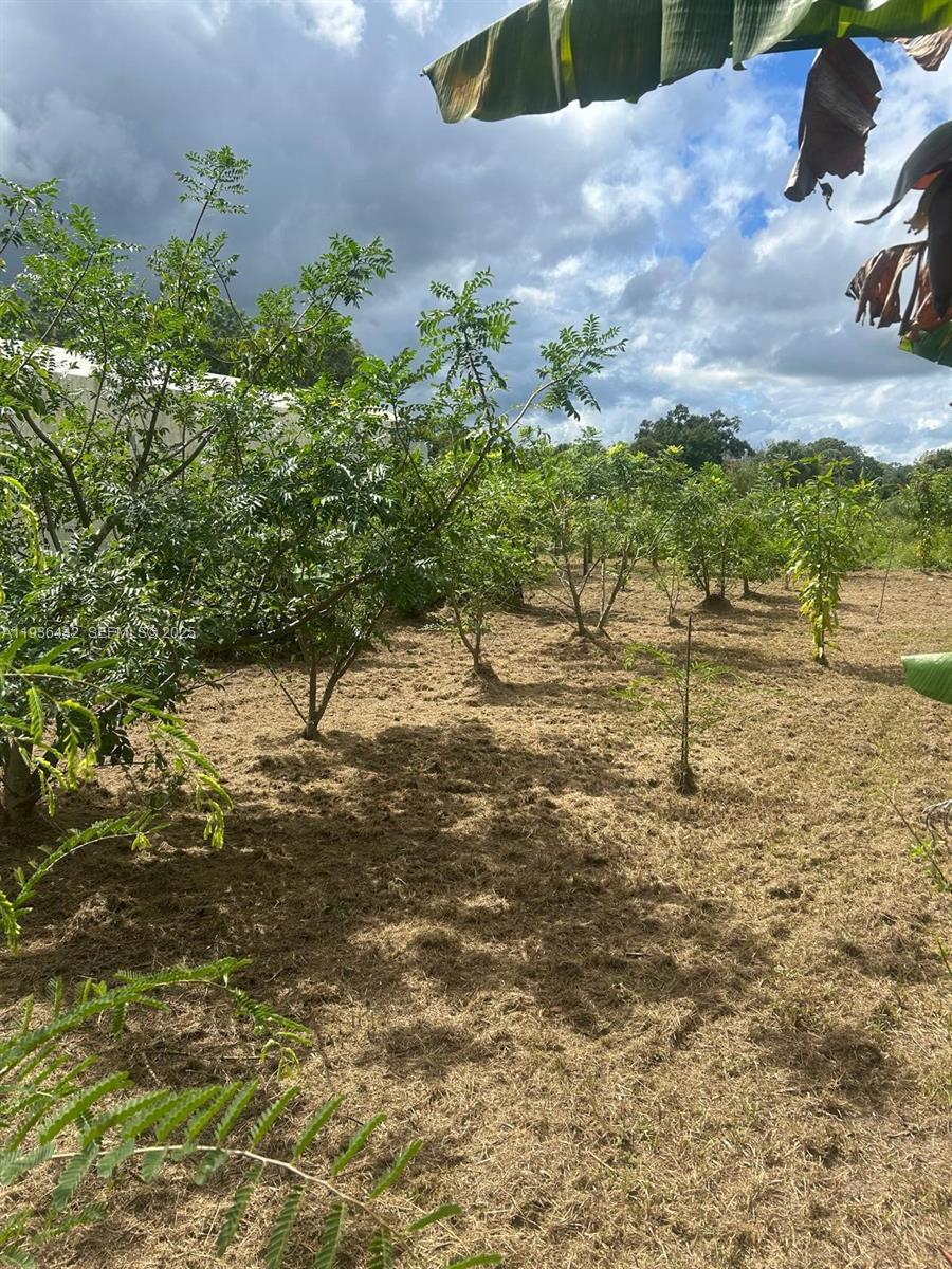 MONTURA SOUTH HALF(100804) - Land