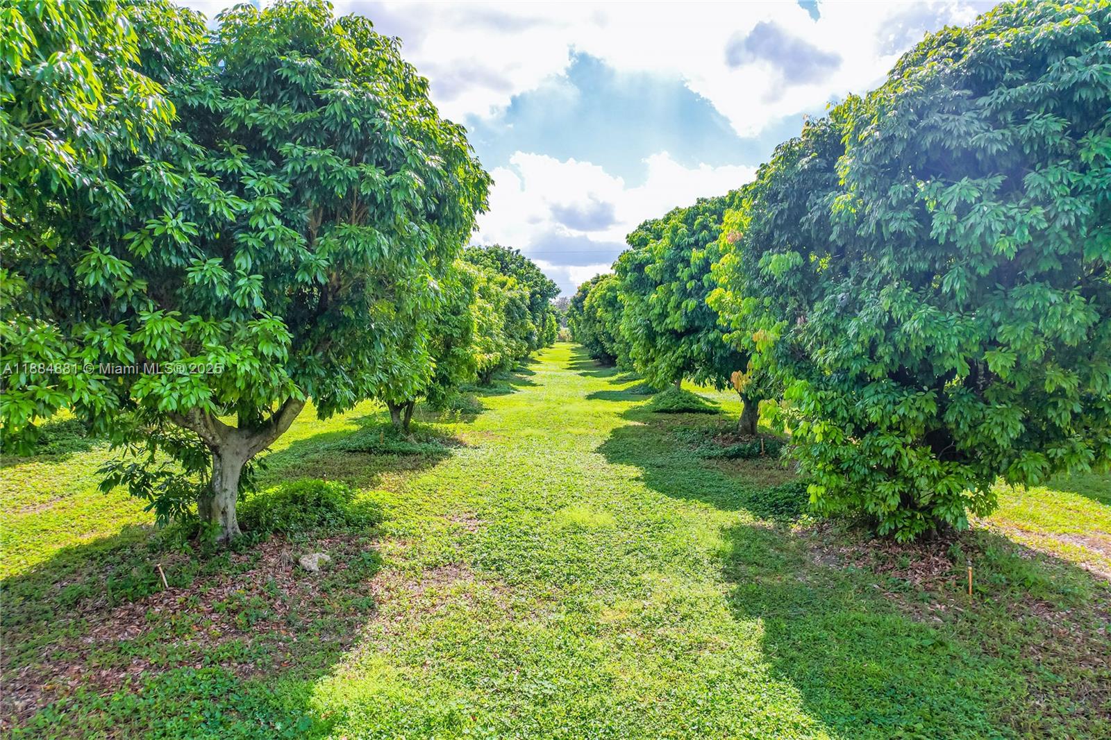 10 acre home/lychee grove - Residential