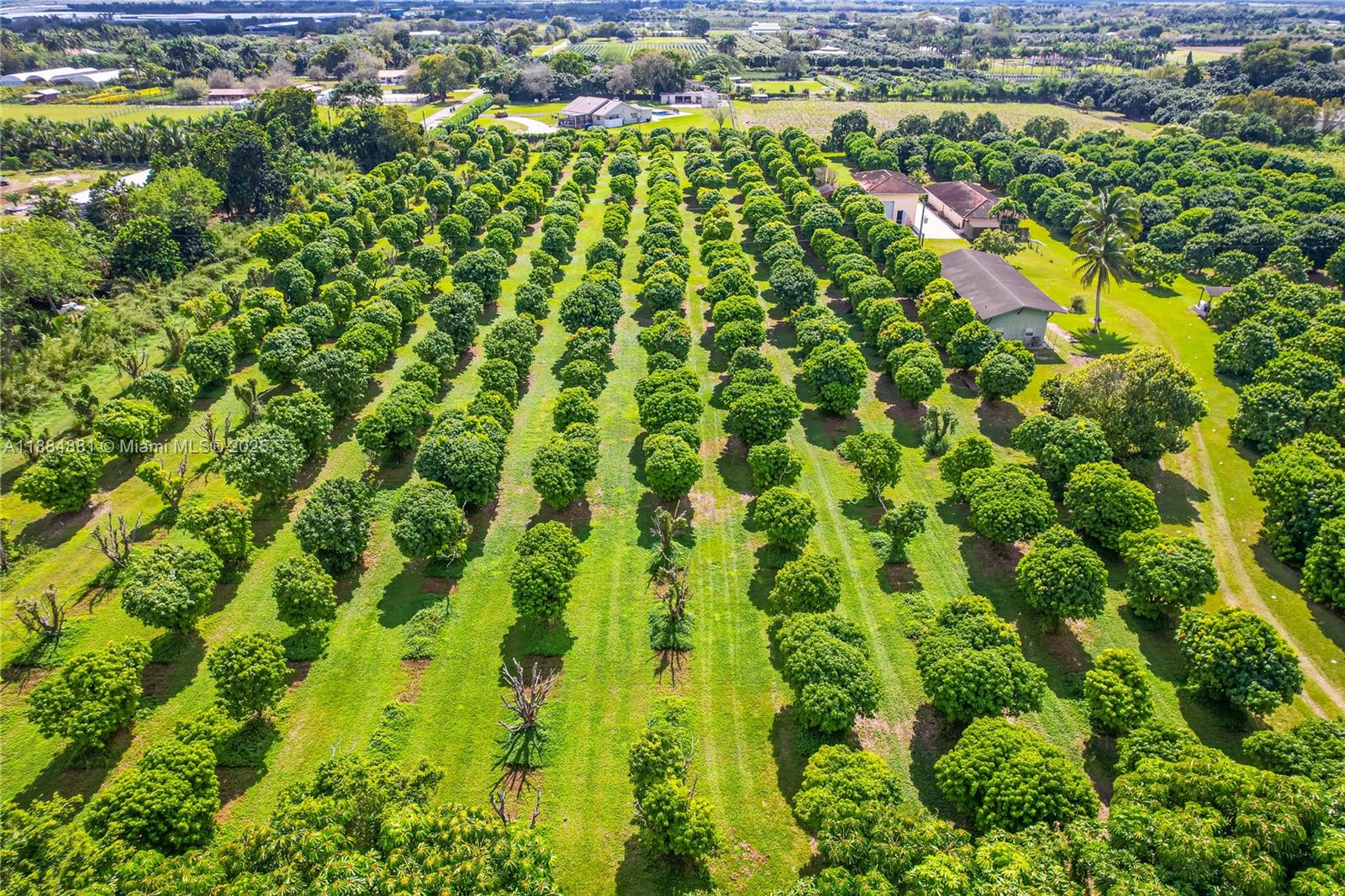 10 acre home/lychee grove - Residential