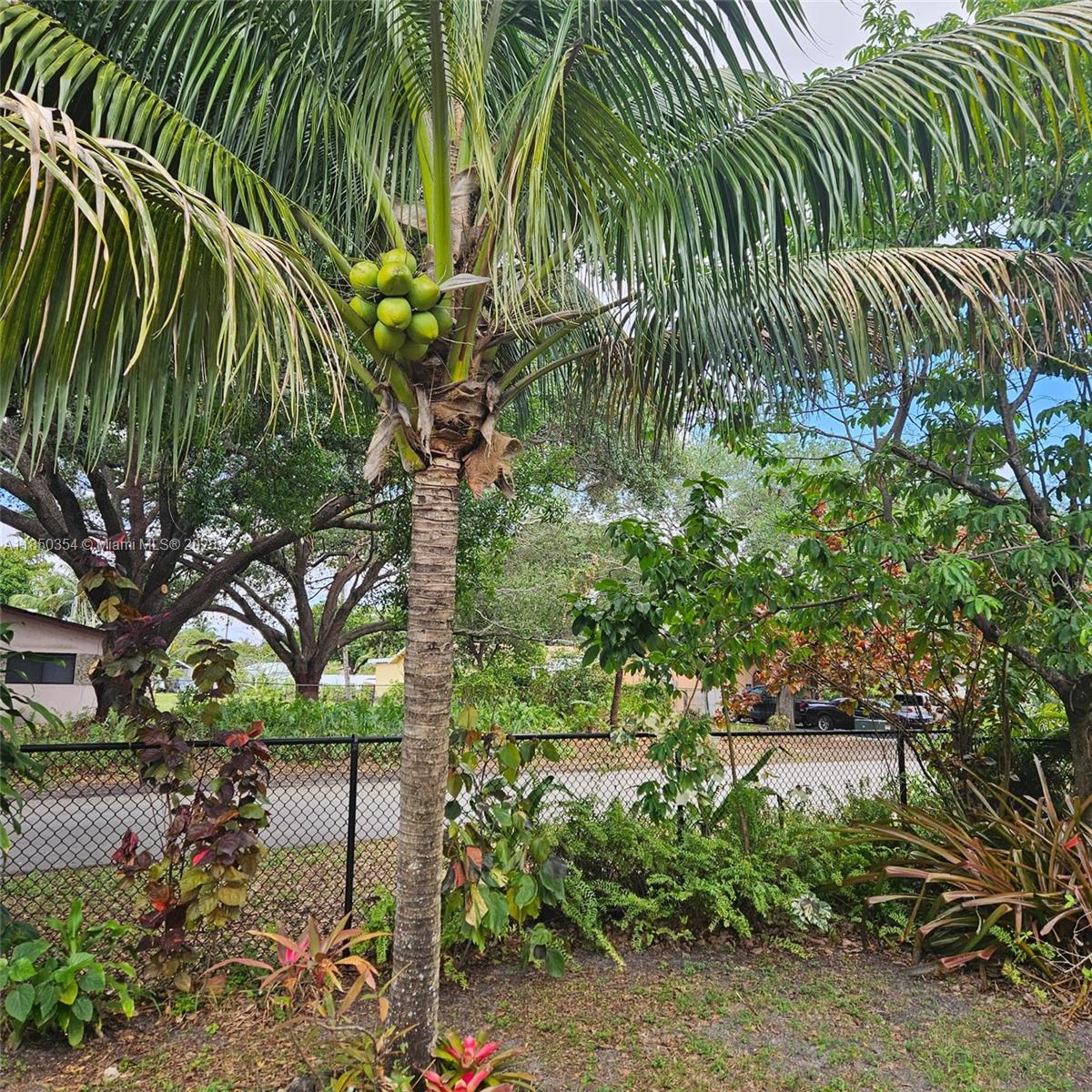 LAUDERDALE LITTLE RANCHES - Residential Lease