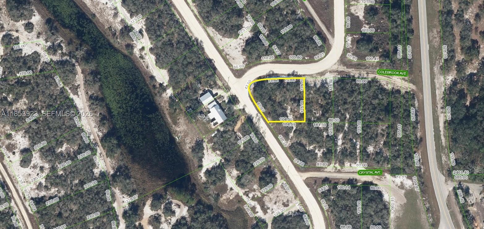 Discover this residential single-family corner lot in the charming Sun N Lakes community of Lake Placid. Spanning approximately 0.59 acres, this property is situated on a graded road with convenient access from a paved street. With new construction ongoing in the area, now is the perfect opportunity to secure an affordable, buildable lot—whether you’re planning to build a spec home immediately or in the future. Don’t miss out on this desirable location for your dream home or investment!